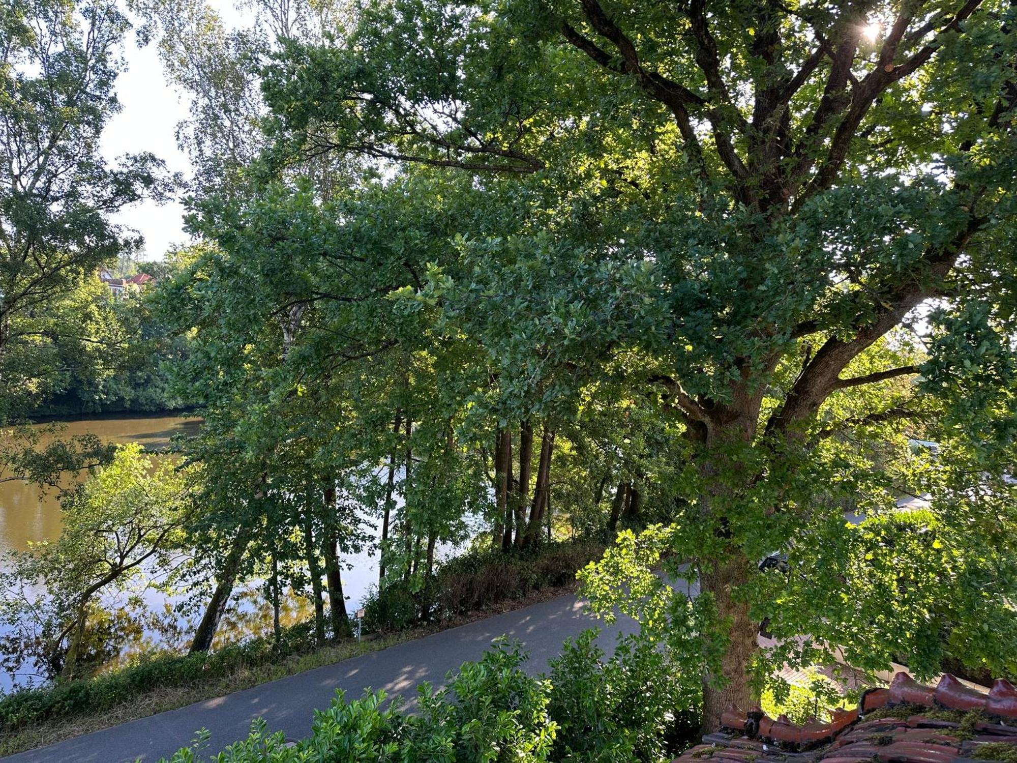 Villa Am See Bad Sachsa Eksteriør bilde